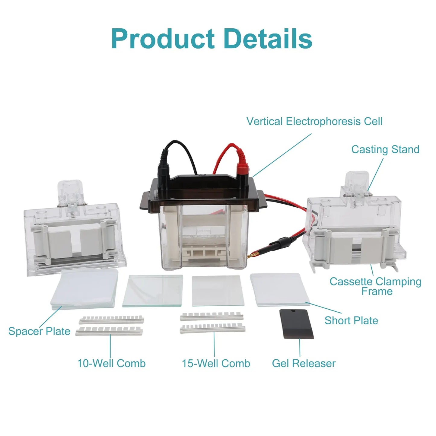 83x73 mm Gel Area, 0.75/1/1.5 mm Thickness Options for SDS-PAGE & Native PAGE