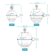 Close-up view showing the precise design and material of StonyLab PC Vacuum Desiccator