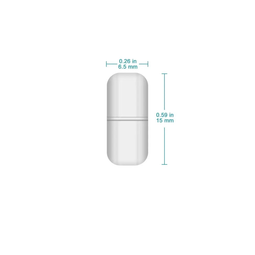 Close-up view showing the precise design and material of StonyLab PTFE Magnetic Stir Bar
