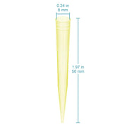 Comprehensive product view and setup components for StonyLab Pipettes Tips