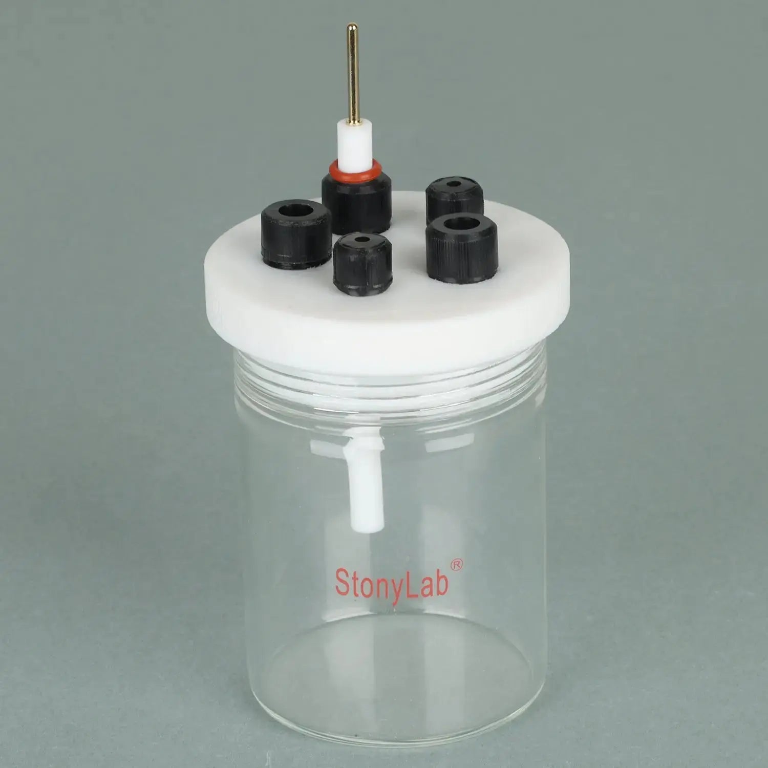 Comprehensive product view and setup components for StonyLab Platinum Disk Electrode