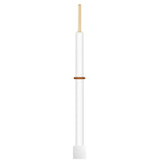 StonyLab Silver Sheet Electrode for professional laboratory applications