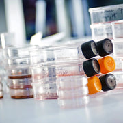 StonyLab Sterile Cell Culture Flasks with Breathable Lid heavy duty chemical processing configuration