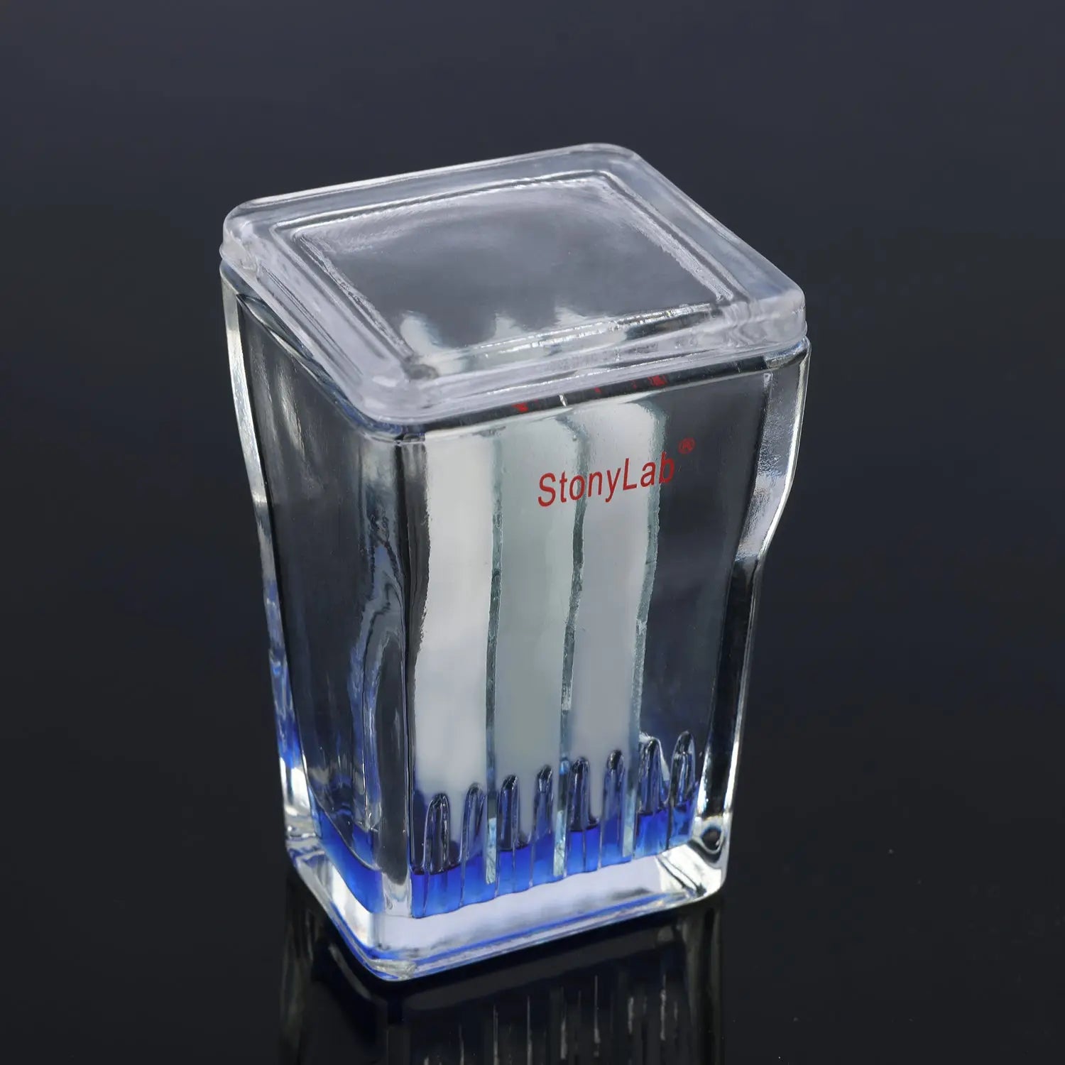 StonyLab Small TLC Developing Tank heavy duty chemical processing configuration