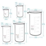 Close-up view showing the precise design and material of StonyLab Tall Glass Beaker Set
