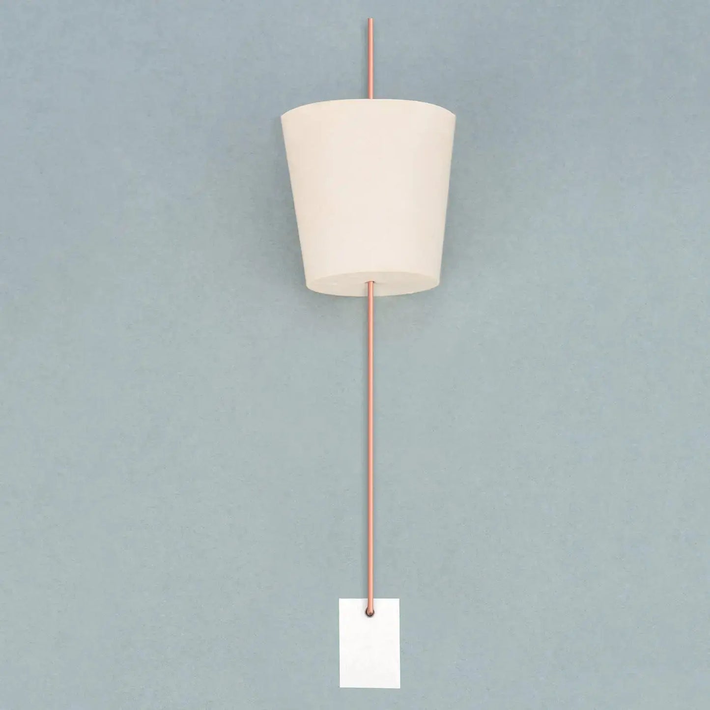 5 Pack Zinc Electrolytic Metal Foil Electrode Electrochemistry - Electrode