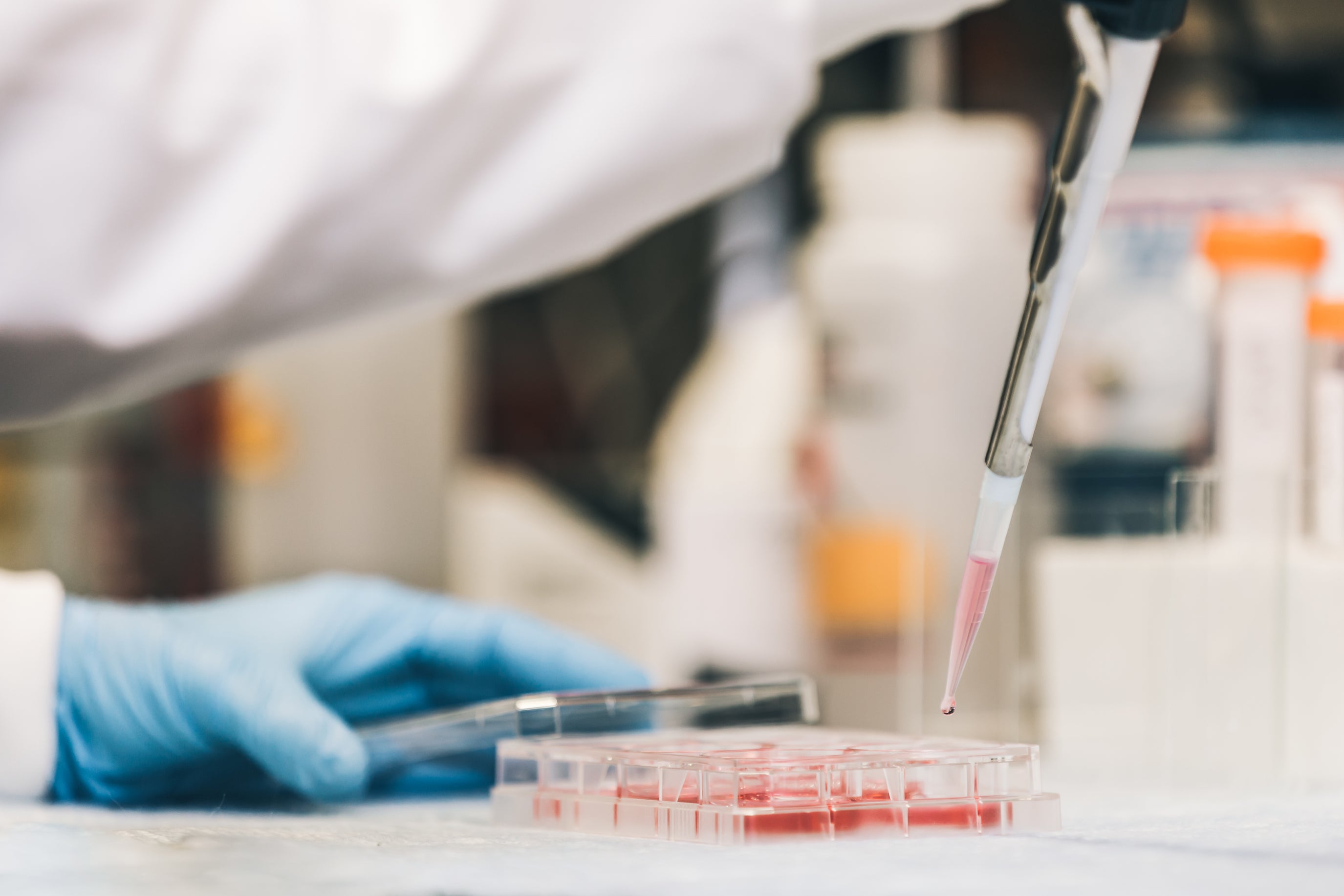 Download StonyLab's Full Lab Product Catalog